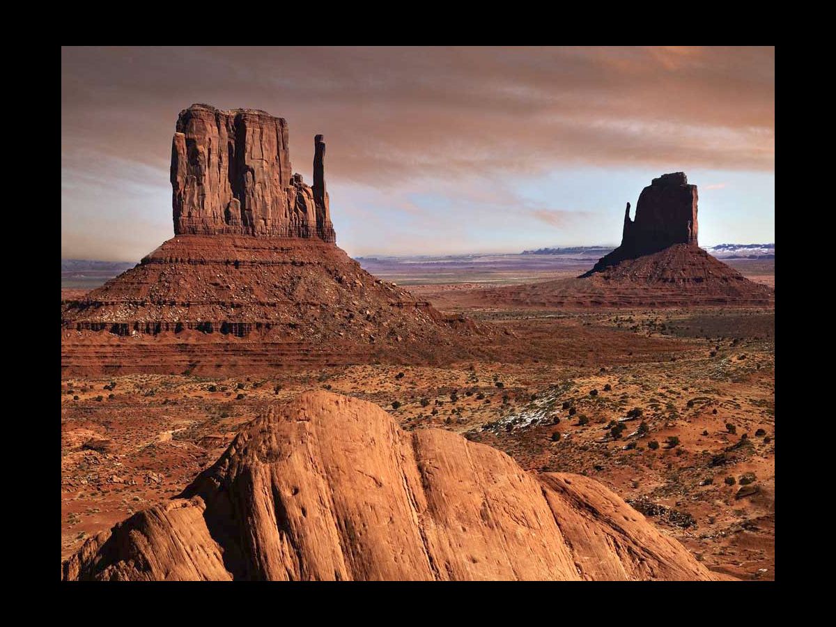 sic amicitiam non spe